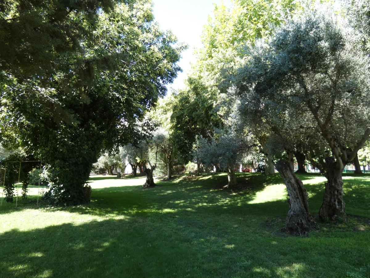 Hotel Los Olivos Getafe Eksteriør billede