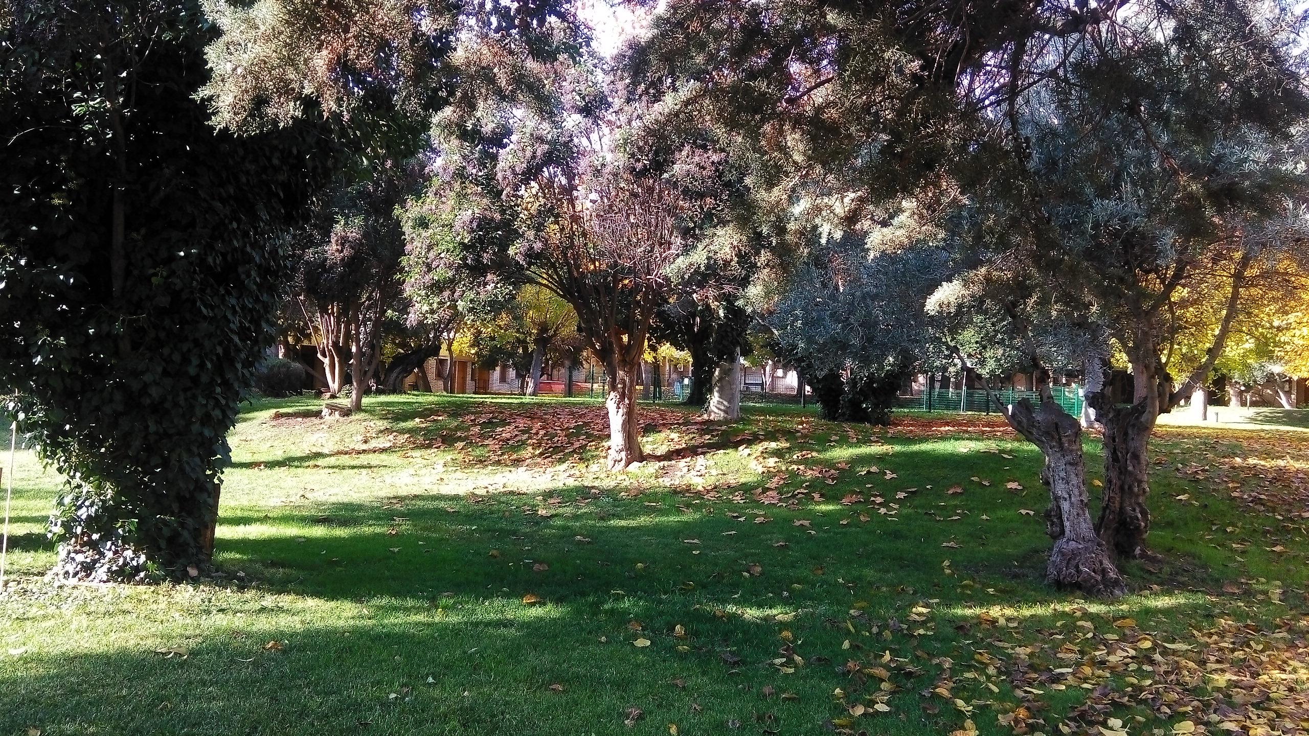 Hotel Los Olivos Getafe Eksteriør billede