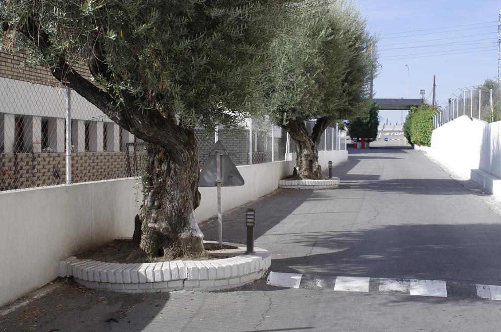 Hotel Los Olivos Getafe Eksteriør billede