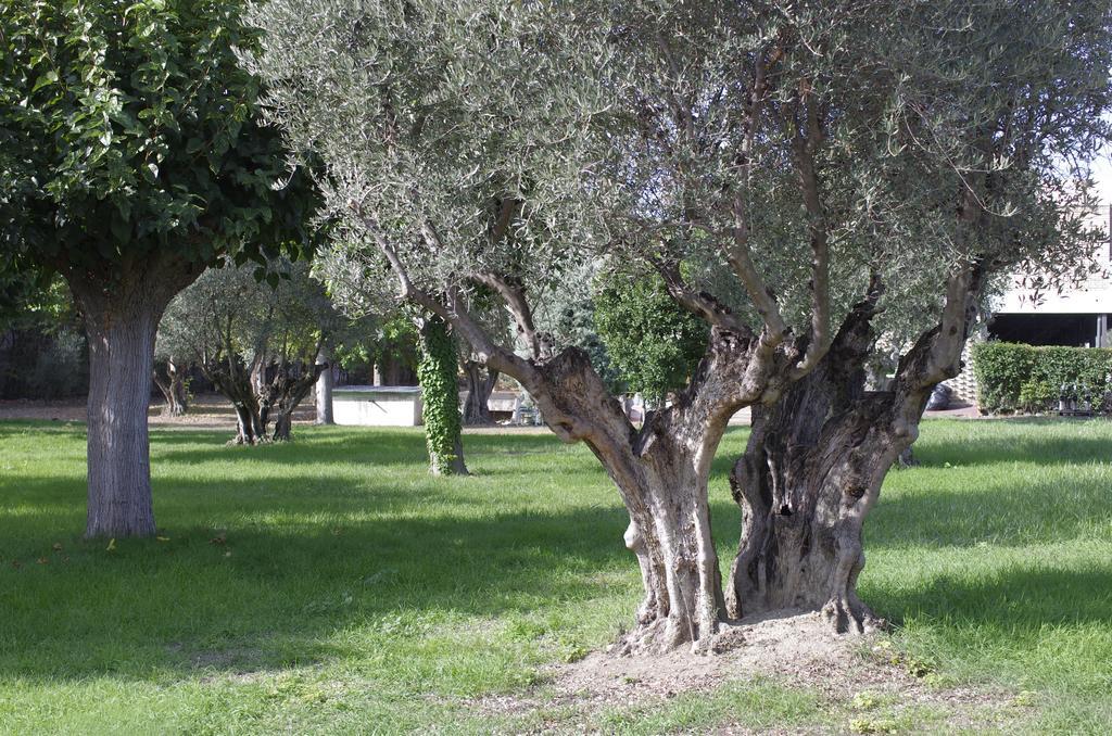 Hotel Los Olivos Getafe Eksteriør billede