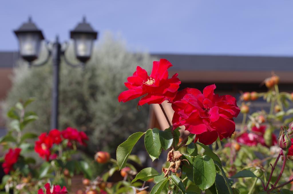 Hotel Los Olivos Getafe Eksteriør billede