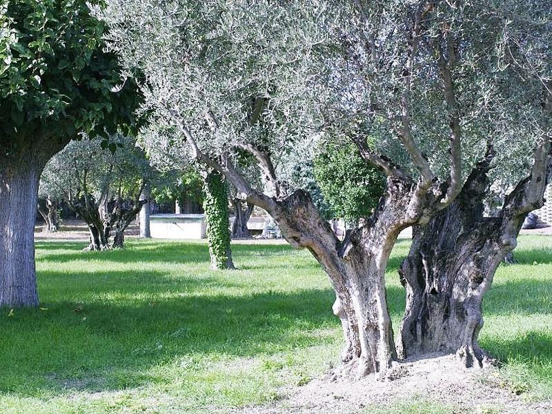 Hotel Los Olivos Getafe Eksteriør billede